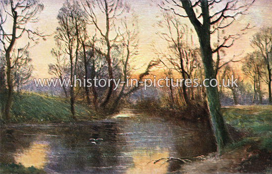 The River Roding, Wanstead Park, London. c.1906